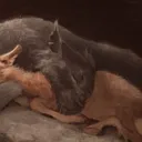 specmercats
