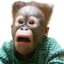Profilovka
