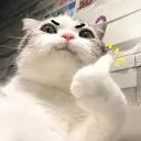 S1mplelove's Avatar