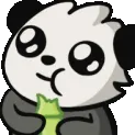 pandabroishere