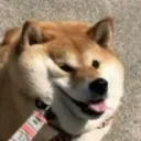 supitsoran