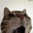 acedmf