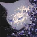 avatar 𝖘𝖍𝖎