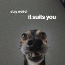 avatar 𝕐𝕦𝕞𝕖𝕜𝕠