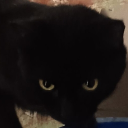 avatar 𝕐𝕦𝕞𝕖𝕜𝕠