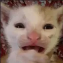 veryunfunny