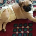 fernandacordoba1019