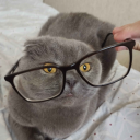 avatar Польнареф