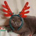 avatar Польнареф