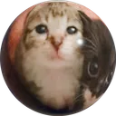 lerpcat