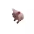 ggmody