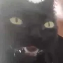 maskeddog29