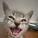 ibraxcr