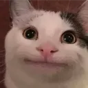 belugacat_asa0562