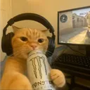 iamdp13