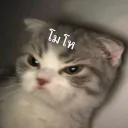nutnudnus