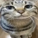 avatar micutul bebe verisor