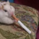 nathaneallee