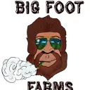 bigfoot710