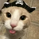 pattioka