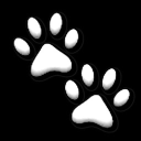 avatar ᵛⁱᵏᵒⁿᶻⁱ ᵒʷⁿˢ ᵐᵉ ฅ ฅ