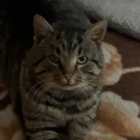 Discord Avatar