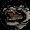 matejafn_3802 avatar