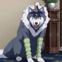 .shinwolf
