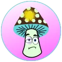 firstmushroom3606