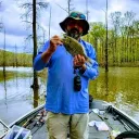 bigbeeslab12b