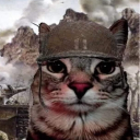 Walm
