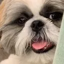 w1nnge