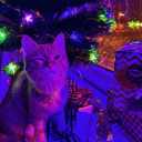 avatar ! Pelic (JOWA NI CAT)