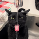 avatar Goodboyoftheyear