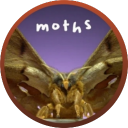 avatar AcherontiaAtropos