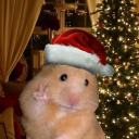 avatar ⌦ .｡.:*♡ 𝓚𝓪𝔂 ♡