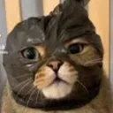 itsjustc3c