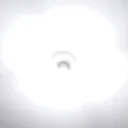 rip_zeus01