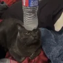 akazeire
