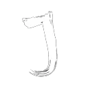 idexip_patate