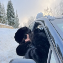 avatar 𝓓𝓮𝓼𝓲𝓽𝓽𝓪