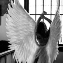 avatar 𝓓𝓮𝓼𝓲𝓽𝓽𝓪