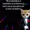 adriws20 avatar