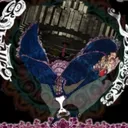 zephorr's Avatar