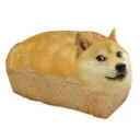 xdogen