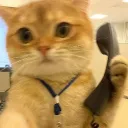 secretservices avatar