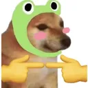 mr.llama3826