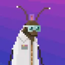 roachemperor6258