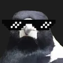 damagpieman
