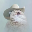 theillj